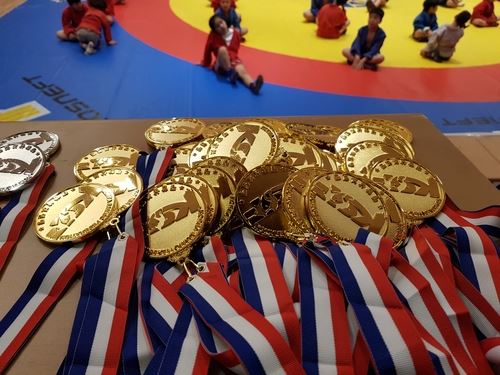 
<p>                                Сахалинские самбисты успешно выступили на II международном юношеском турнире в Сеуле</p>
<p>                        