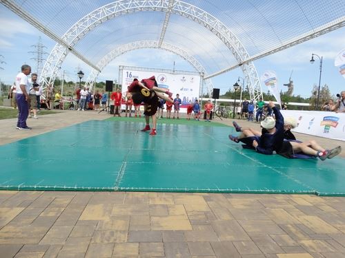 
<p>                                Волгоградская федерация самбо отметит день физкультурника красивой борьбой</p>
<p>                        